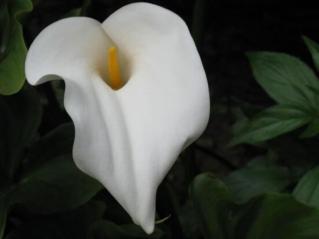 베나오얀 Molino Del Caracol 빌라 외부 사진